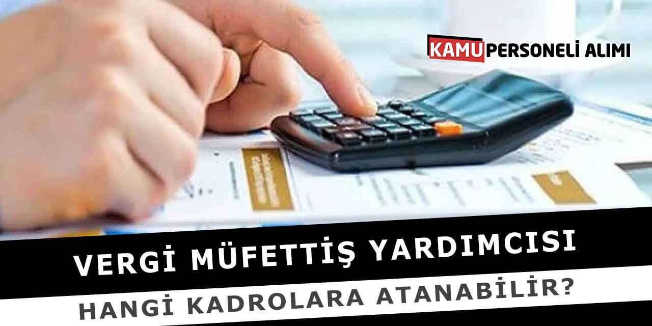 Vergi Müfettiş Yardımcısı Hangi Kadrolara Atanabilir?