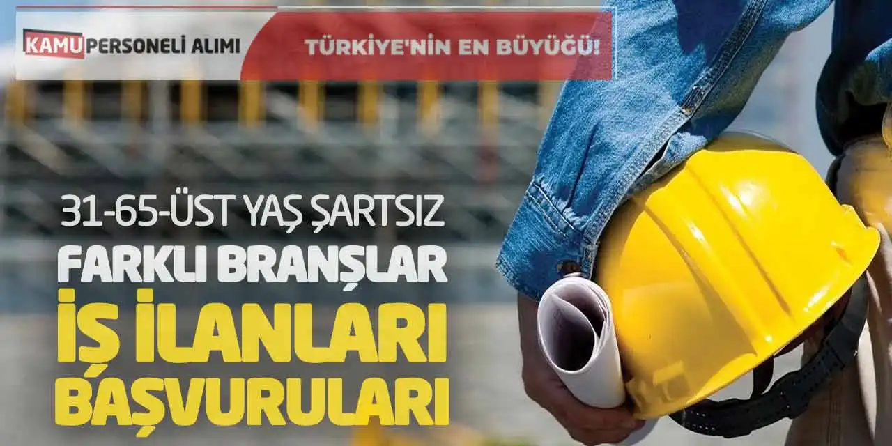 31-65-Üst Yaş Şartsız Farklı Branşlar İş İlanları Başvuruları