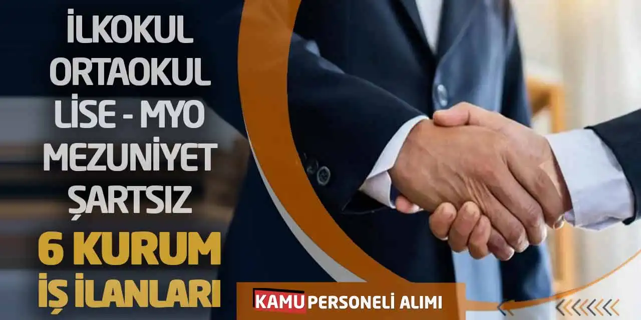 İlkokul Ortaokul Lise MYO Mezuniyet Şartsız 6 Kurum İş İlanları