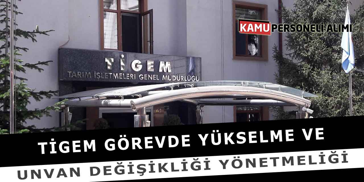 TİGEM Görevde Yükselme Ve Unvan Değişikliği Yönetmeliği