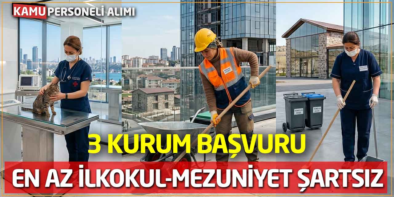 En Az İlkokul-Mezuniyet Şartsız İş İlanları: 3 Kurum Başvuru