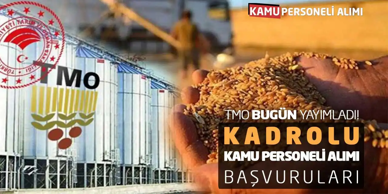 TMO Bugün Yayımladı! Kadrolu Kamu Personeli Alımı Başvuruları