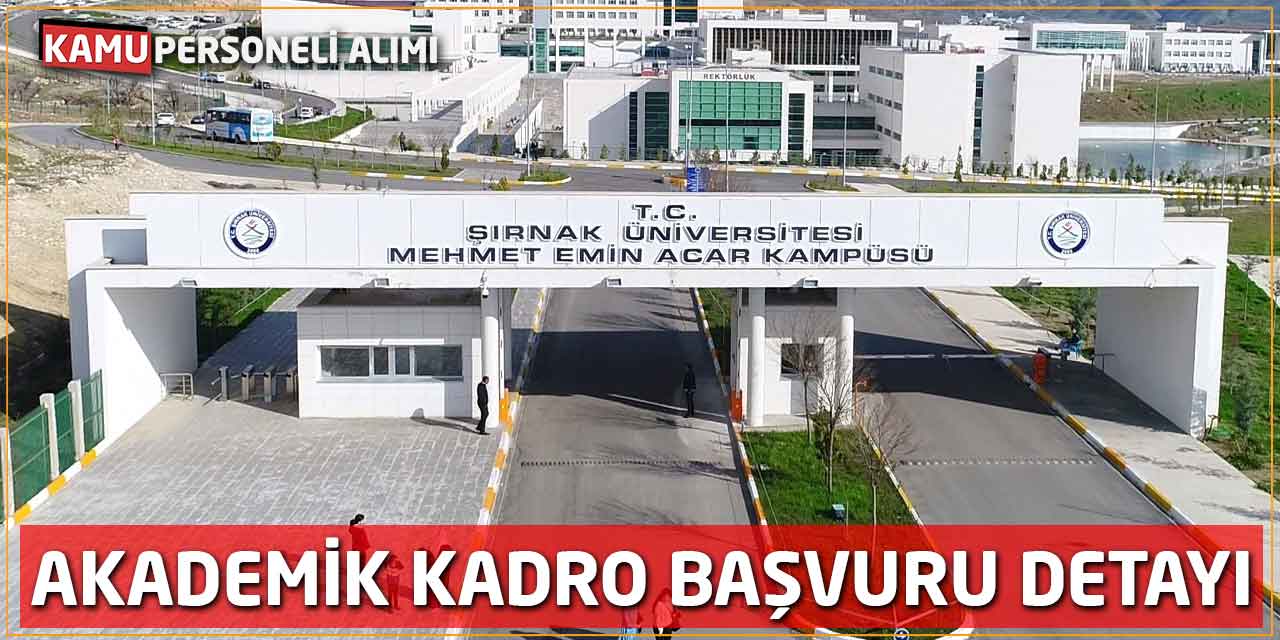 Şırnak Üniversitesi Akademik Kadro Başvuru Detayı
