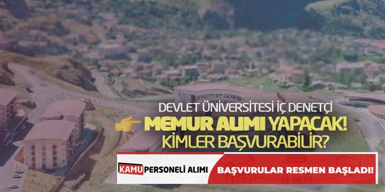 Devlet Üniversitesi İç Denetçi Memur Alımı Yapacak! Kimler Başvurabilir?