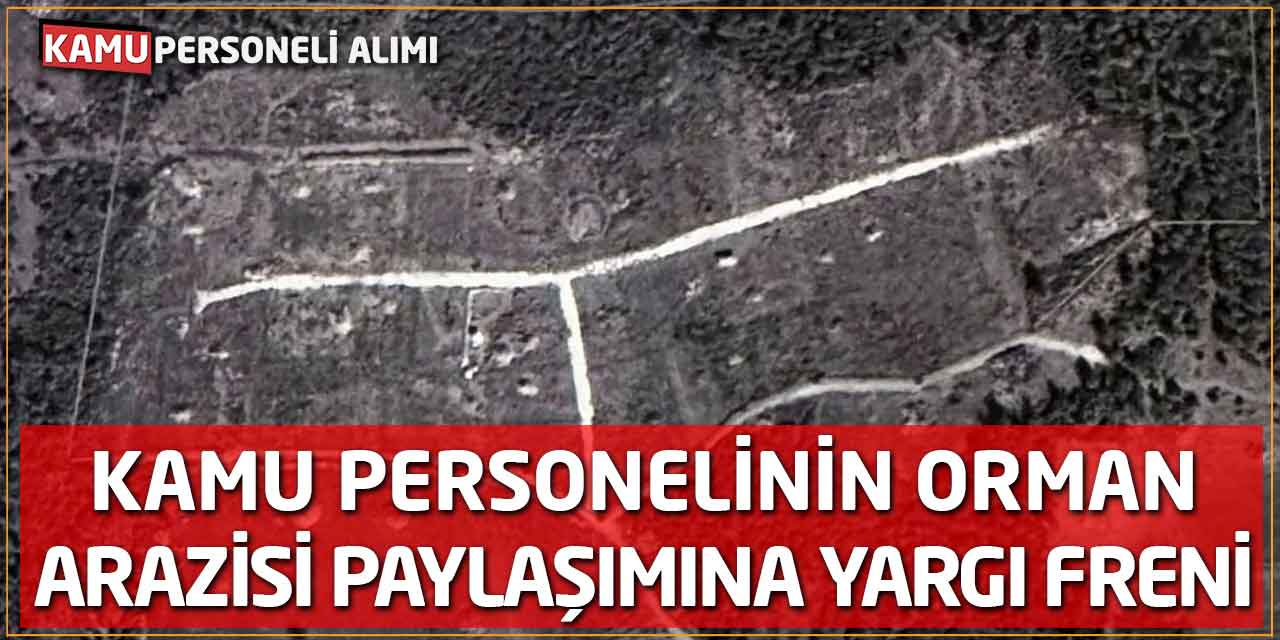 Kamu Personelinin Orman Arazisi Paylaşımına Yargı Freni!