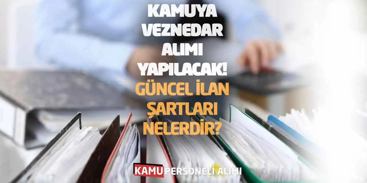 Kamuya Veznedar Alımı Yapılacak! Güncel İlan Şartları Nelerdir?