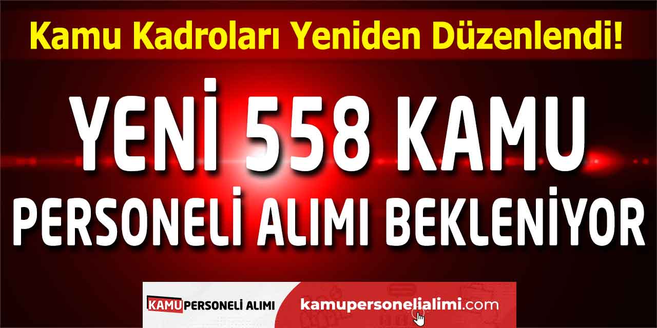 Kamu Kadroları Düzenlendi! Yeni 558 Kamu Personeli Alımı Bekleniyor