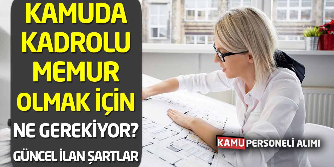 Kamuda Kadrolu Memur Olmak İçin Ne Gerekiyor? Güncel İlan-Şartlar