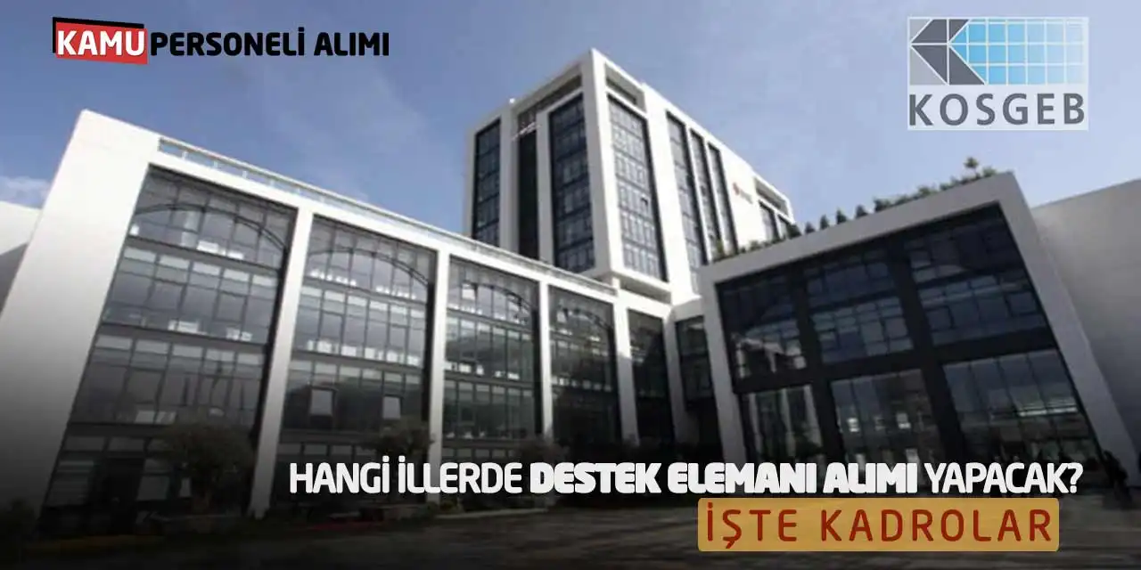 Hangi İllerde KOSGEB Destek Elemanı Alımı Yapacak? İşte Kadrolar