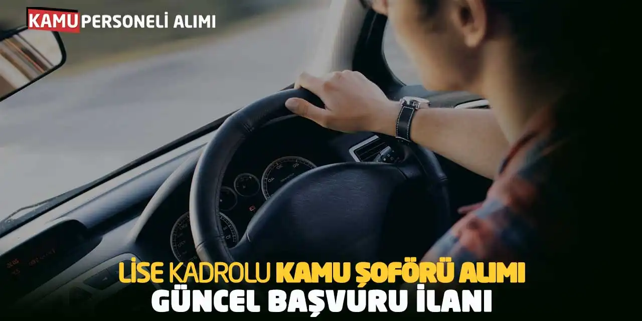 Lise Mezunu Kadrolu Kamu Şoförü Alımı: Güncel Başvuru İlanı