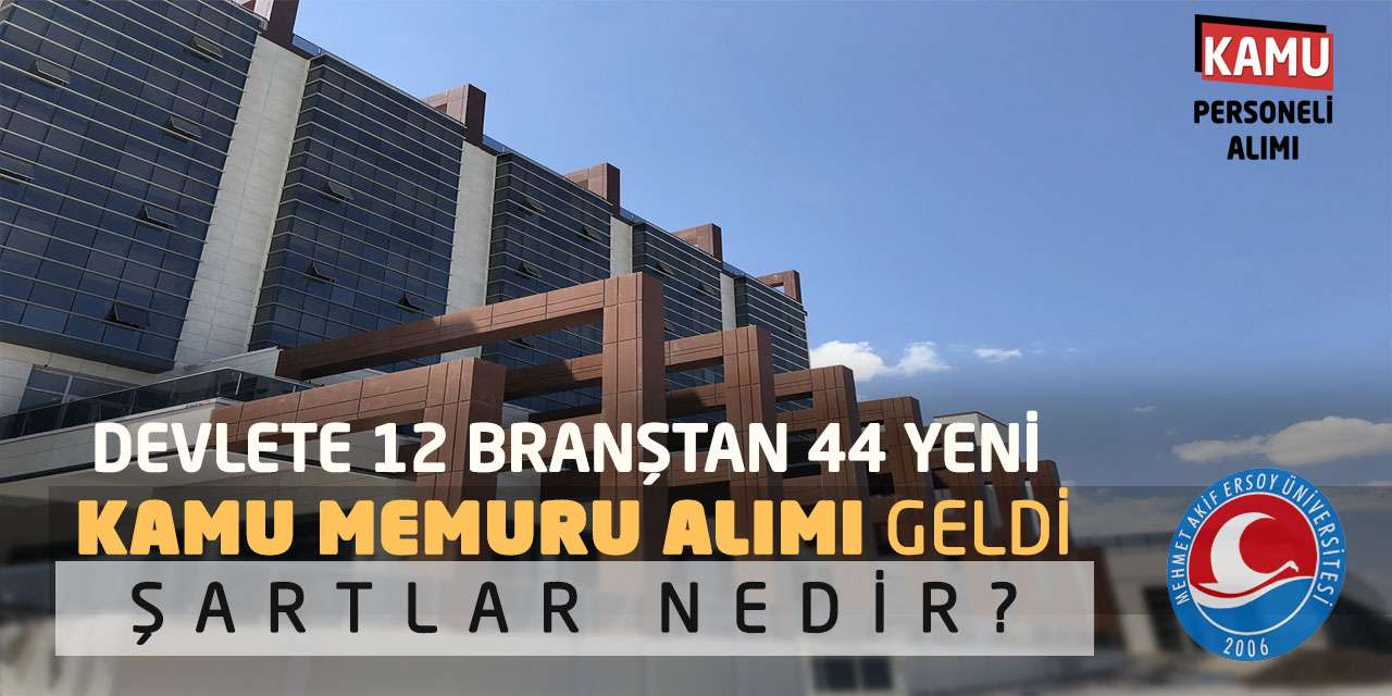 Devlete 12 Branştan 44 Yeni Kamu Memuru Alımı Geldi: Şartlar Nedir?