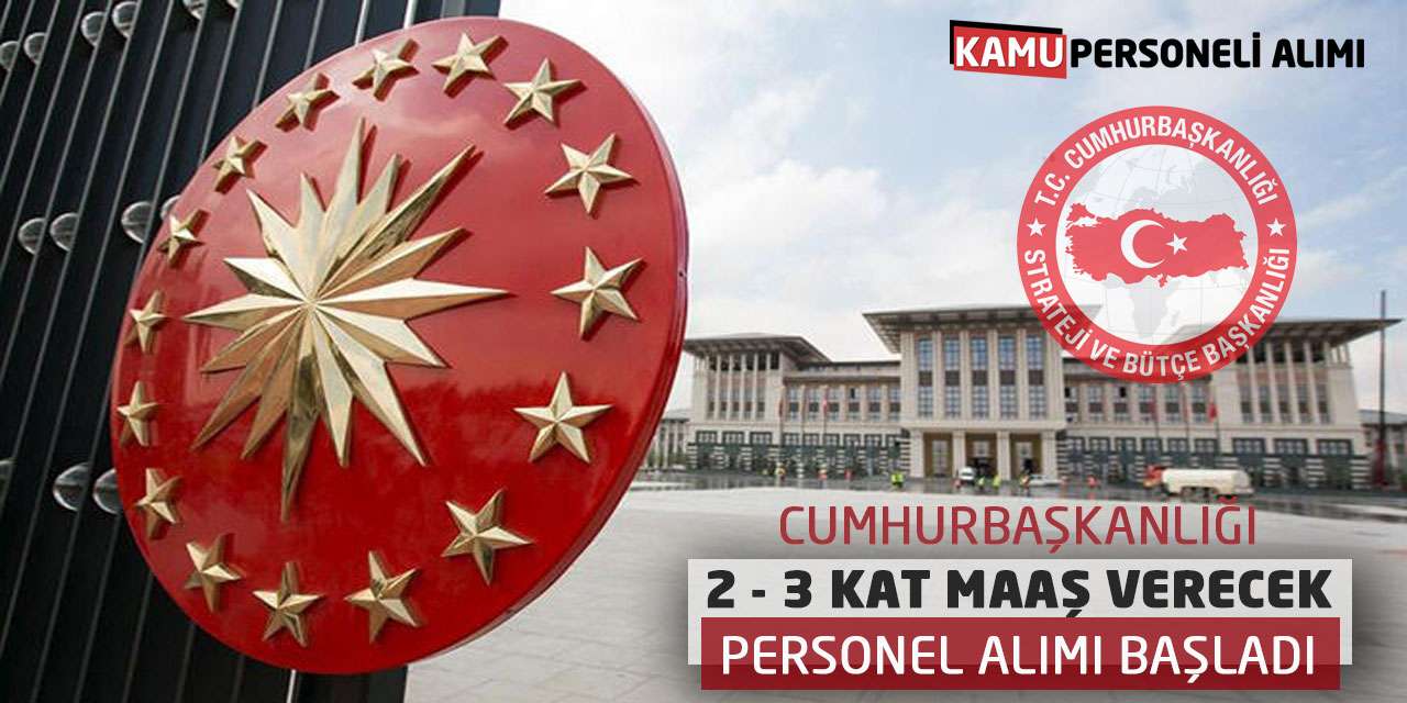 Cumhurbaşkanlığı 2 ve 3 Kat Maaş Verecek! Personel Alımı Başladı