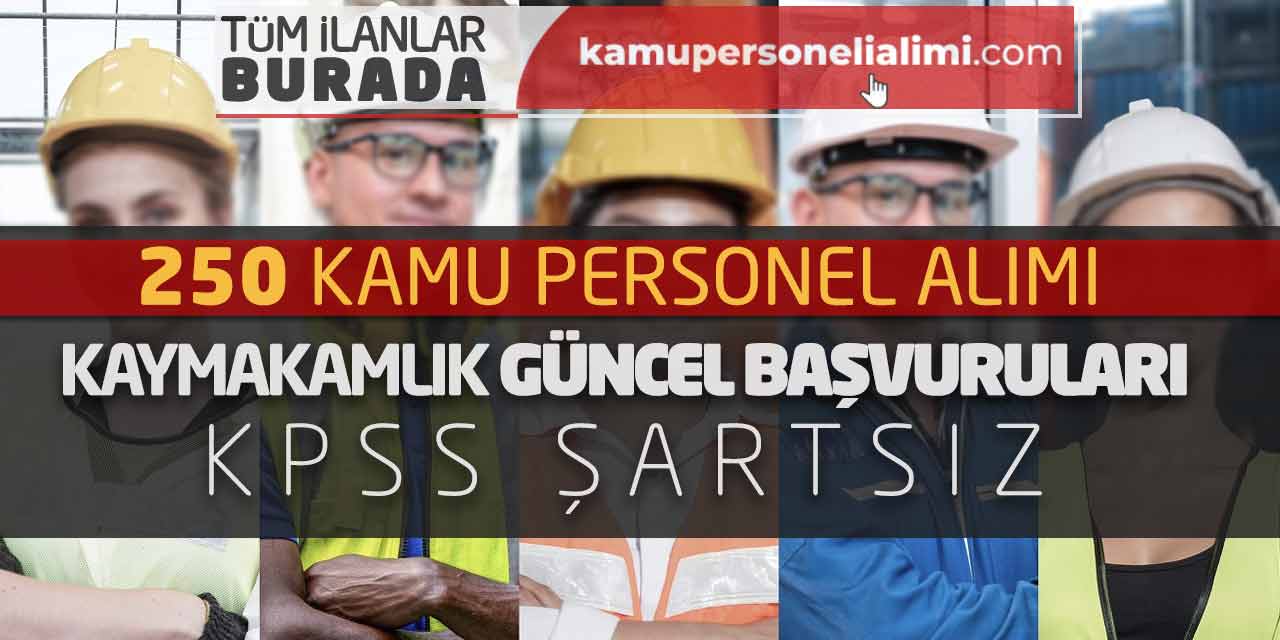 250 Kamu Personel Alımı Kaymakamlık Güncel Başvuruları! KPSS Şartsız