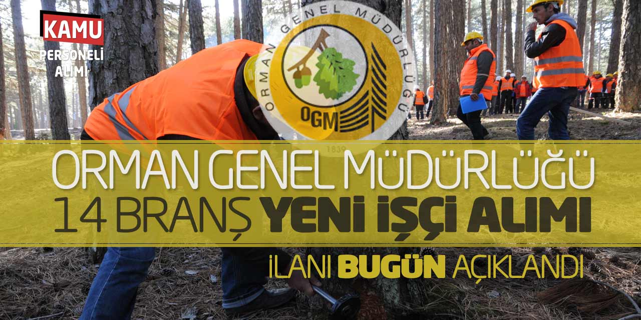 Orman Genel Müdürlüğü 14 Branş Yeni İşçi Alımı İlanı Bugün Açıklandı