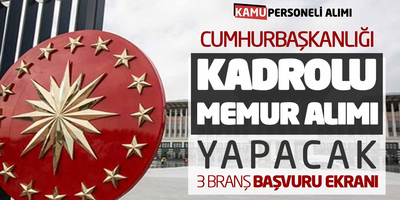 Cumhurbaşkanlığı Kadrolu Memur Alımı Yapacak! 3 Branş Başvuru Ekranı