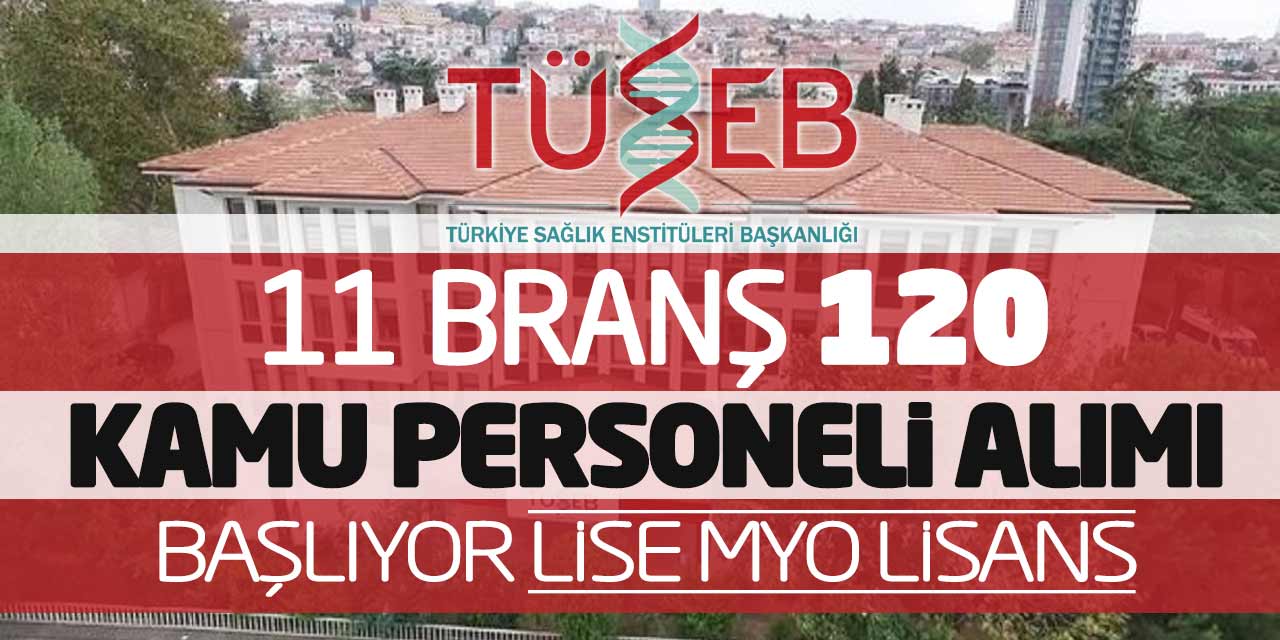 11 Farklı Branş 120 Kamu Personeli Memur Alımı Başlıyor (Lise MYO Lisans)