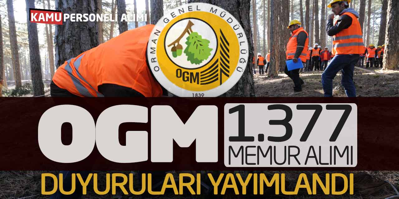 Orman Genel Müdürlüğü 1.377 Sözleşmeli Memur Alımı Duyuruları Yayımlandı