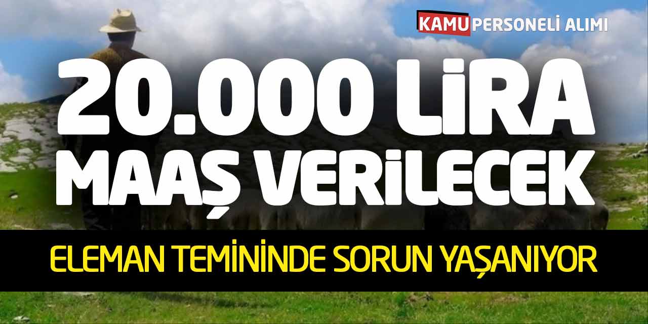 20.000 Lira Maaş Verilecek! Eleman Temininde Sorun Yaşanıyor