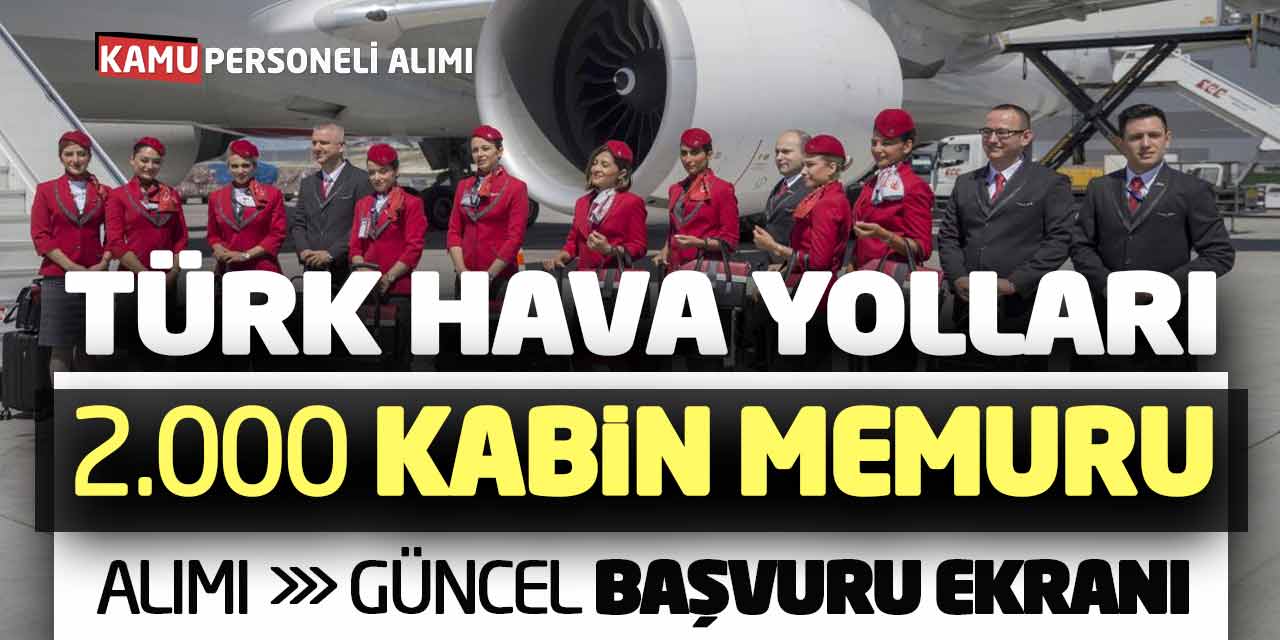 Türk Hava Yolları 2000 Kabin Memuru Alımı! Güncel Başvuru Ekranı
