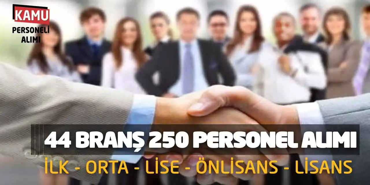 44 Branştan 250 Personel Alımı: İlk Orta Lise Önlisans Lisans