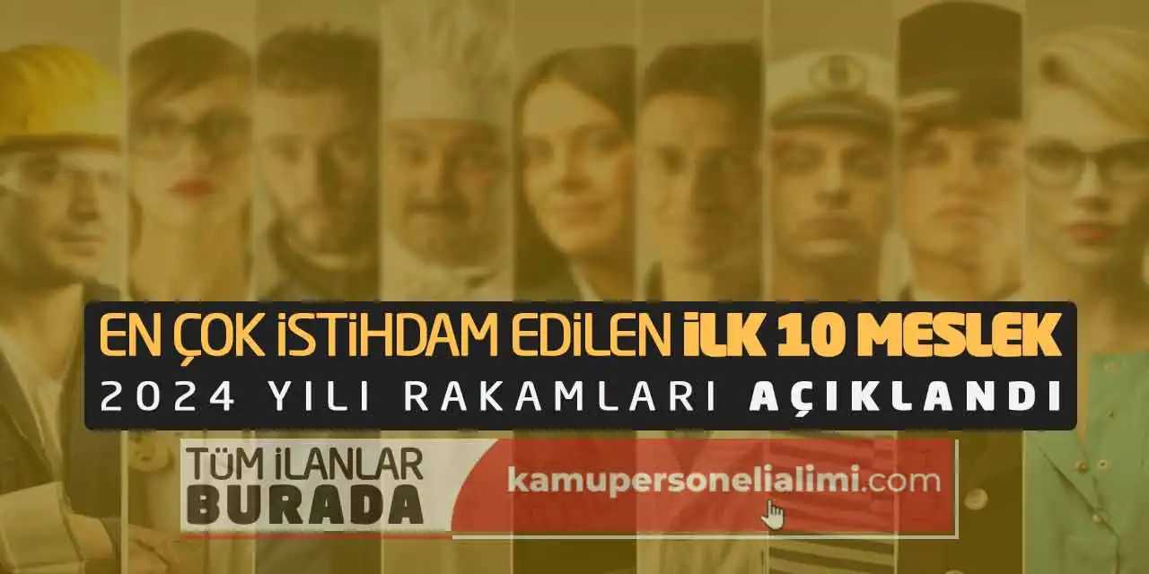 En Çok İstihdam Edilen İlk 10 Meslek: 2024 Yılı Rakamları Açıklandı