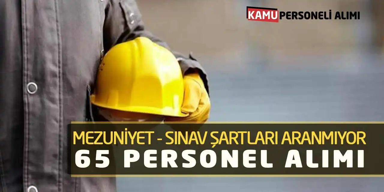 Mezuniyet ve Sınav Şartları Aranmıyor! 65 Personel Alımı
