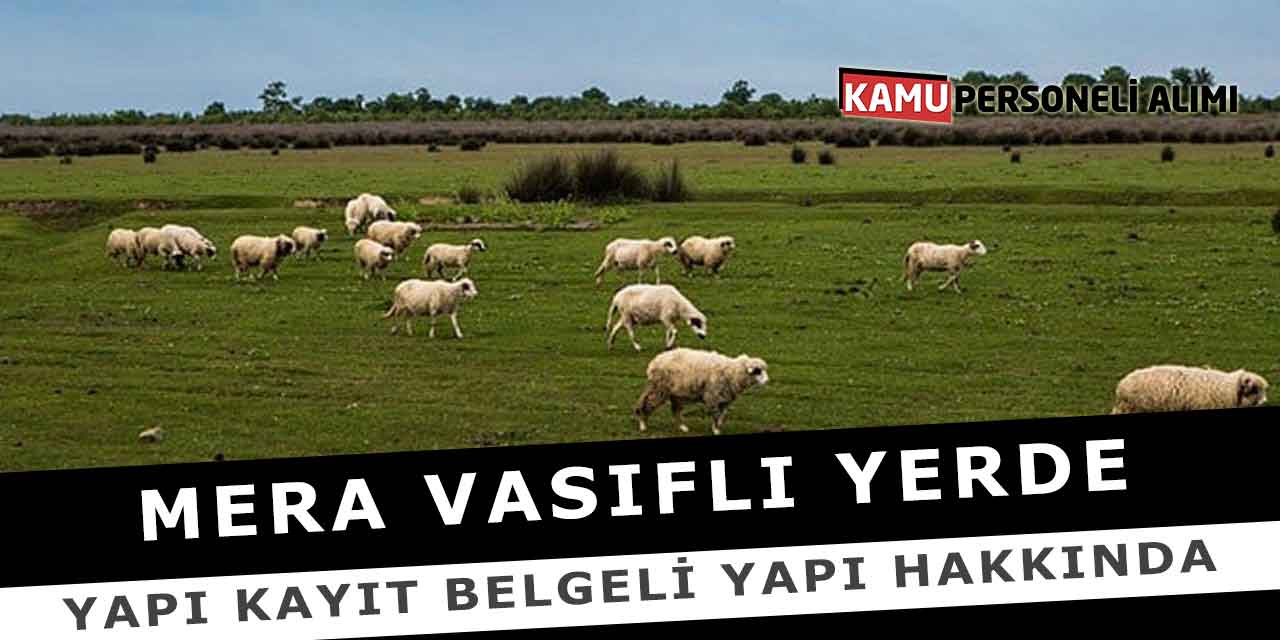 Mera Vasıflı Yerde Yapı Kayıt Belgeli Yapı Hakkında