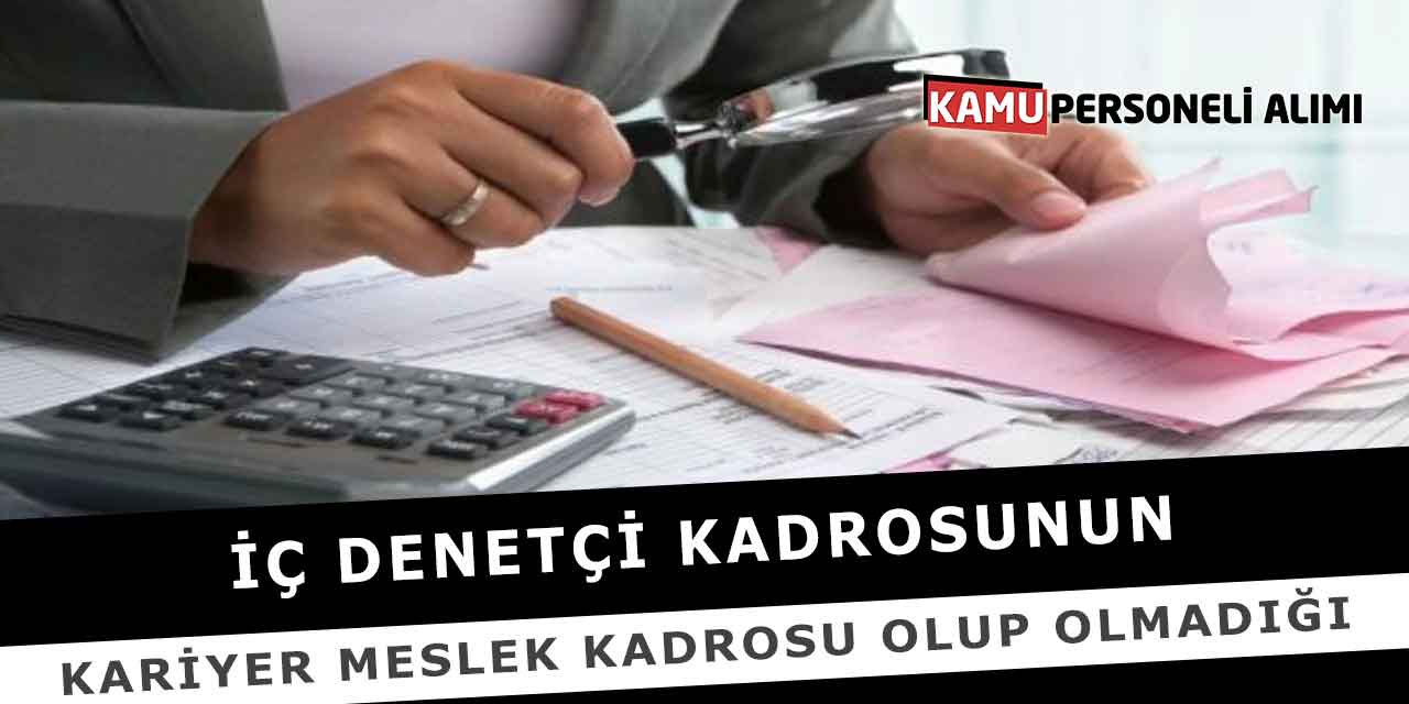İç Denetçi Kadrosunun Kariyer Meslek Kadrosu Olup Olmadığı